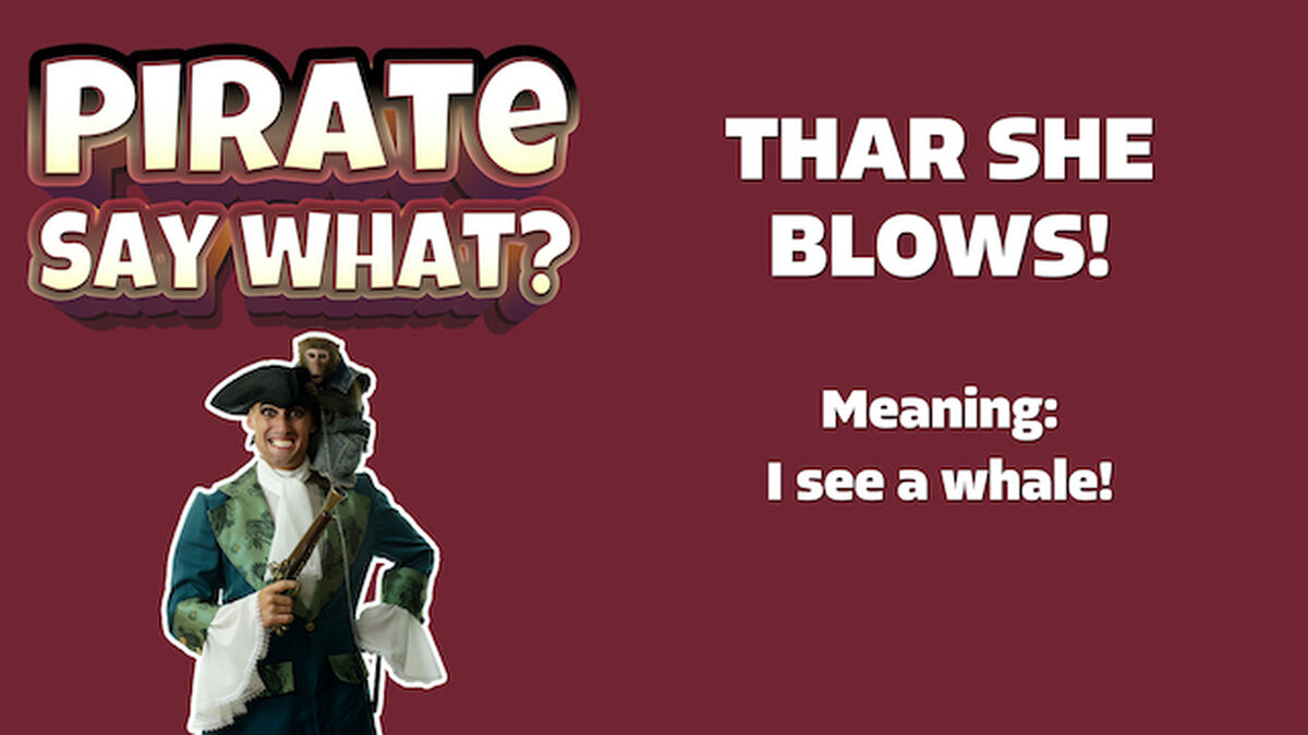 Pirate Say What? image number 4